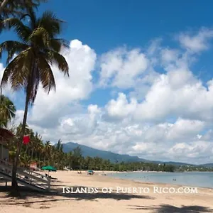 https://villa-orquidea-1.comcaribbean.com